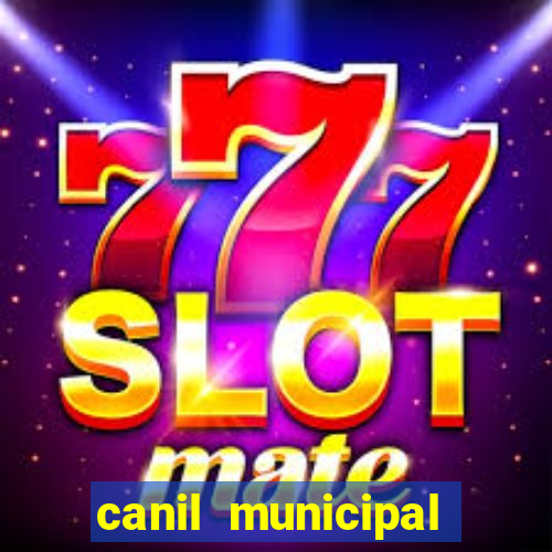 canil municipal porto alegre